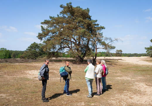 Drouwenerzand | De Branden