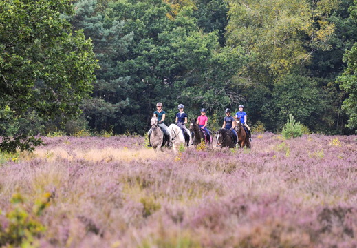 In de Stijgbeugel